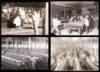Four gelatin silver photographs, matted together