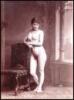 Group of six albumen photographs of nude women - 3