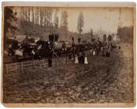 Redwood Logging Humboldt