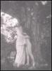Lot of 5 photogravures - 3