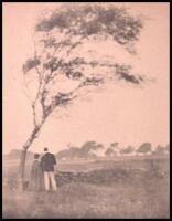 Pastoral