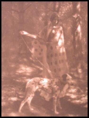 Blotches of Sunlight and Spots of Ink