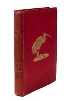 Report on the Birds Collected by the British Ornithologists' Union Expedition and the Wollaston Expedition in Dutch New Guinea