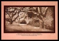 California the Beautiful: Camera Studies by California Artists with Selections in Prose and Verse from Western Writers.