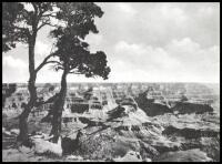 Grand Canyon National Park, Arizona. In photogravure (cover title)