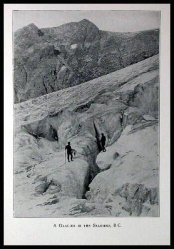 Fifteen Years' Sport and Life in the Hunting Grounds of Western America and British Columbia