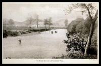 Dry-Fly Fishing
