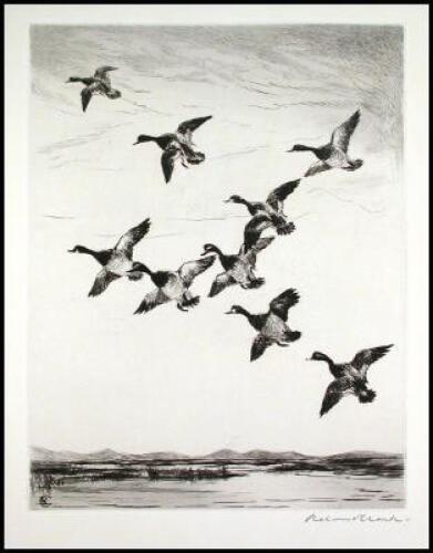 Roland Clark's Etchings