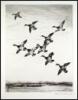 Roland Clark's Etchings