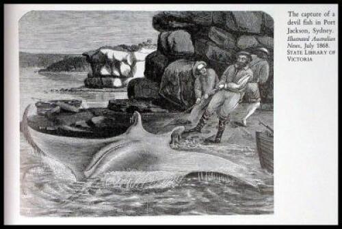 Angling in Australia. Its History and Writings