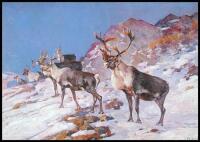 Carl Rungius. Painter of the Western Wilderness