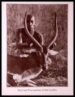Rowland Ward's Records of Big Game with their Distribution, Characteristics, Dimensions, Weights, and Horn & Tusk Measurements
