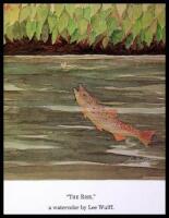 Trout on a Fly