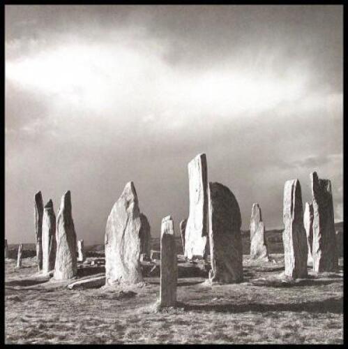 Land - 3 copies