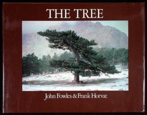 The Tree - 4 copies