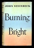Burning Bright: A Play in Story Form
