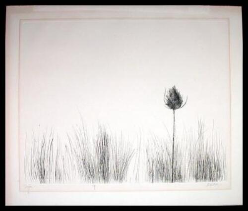 Thistle