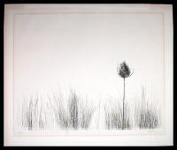 Thistle