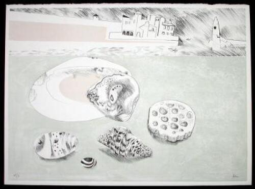 Shells and Pebbles