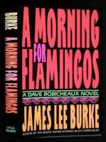 A Morning for Flamingos