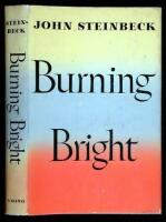 Burning Bright: A Play in Story Form