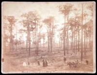 Lot of five original photographs of homesteaders in Florida