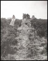 Preliminary Study of the Ruins of Peten, Guatemala, Tikal [and] A Preliminary Study of the Prehistoric Ruins of Tikal Guatemala