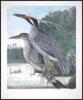 Birds of the Pacific Slope - 3
