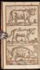 The Husbandman&rsquo;s Jewel, Directing How to Improve Land from 10l. per Annum, to 50l. with small charge by Planting. Making Cyder as good as Canary, for 5d a Quart or less; To Improve Land by draining, and by Hemp, Saffron, Liquorice; To Brew Ale and Beer, m - 2