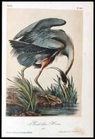 The Birds of America, from Drawings made in the United States and their Territories
