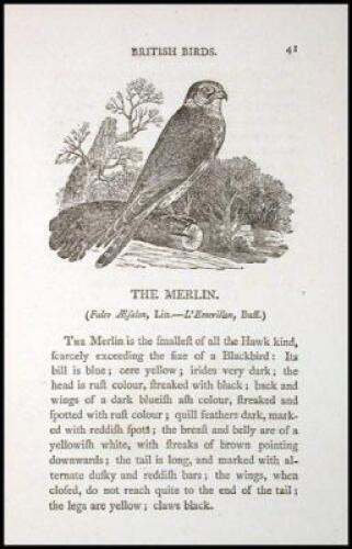 History of British Birds. * Figures of British Land Birds. * A General History of Quadrupeds