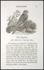 History of British Birds. * Figures of British Land Birds. * A General History of Quadrupeds