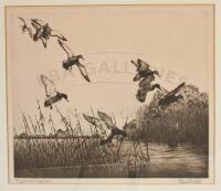 Blacks and Greenheads - signed etching