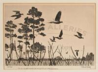 Dove Field - inscribed etching