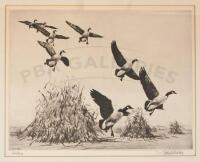 Honkers - signed etching