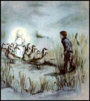 The White Goose