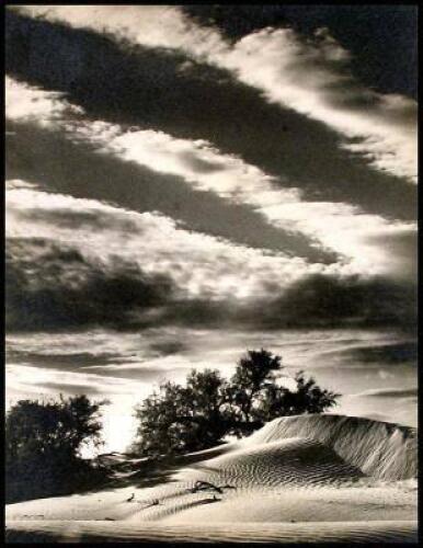 Untitled (California Desert)