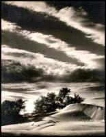 Untitled (California Desert)