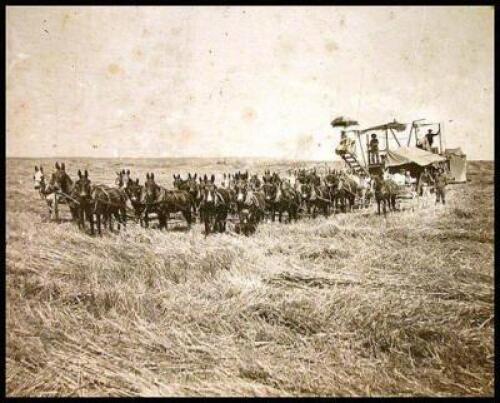 Farming photograph