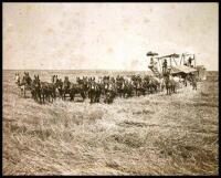 Farming photograph