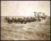 Farming photograph