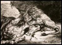Lion d&eacute;vorant un cheval