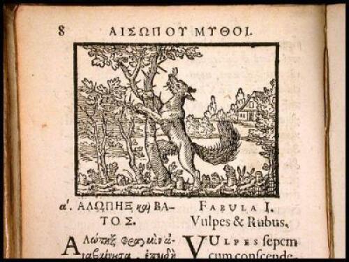 Fabulae Aesopi graece & latine