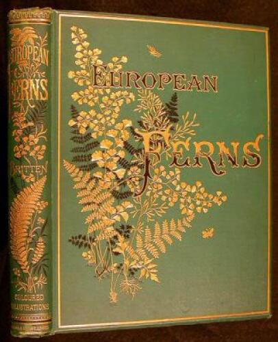 European Ferns