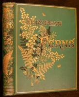 European Ferns