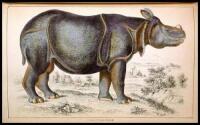 A History of the Earth and Animated Nature