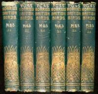 A History of British Birds