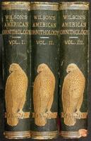 American Ornithology; or, The Natural History of the Birds of the United States