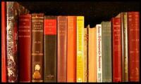 Lot of 17 titles