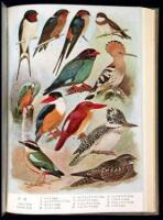 The Birds of Japan